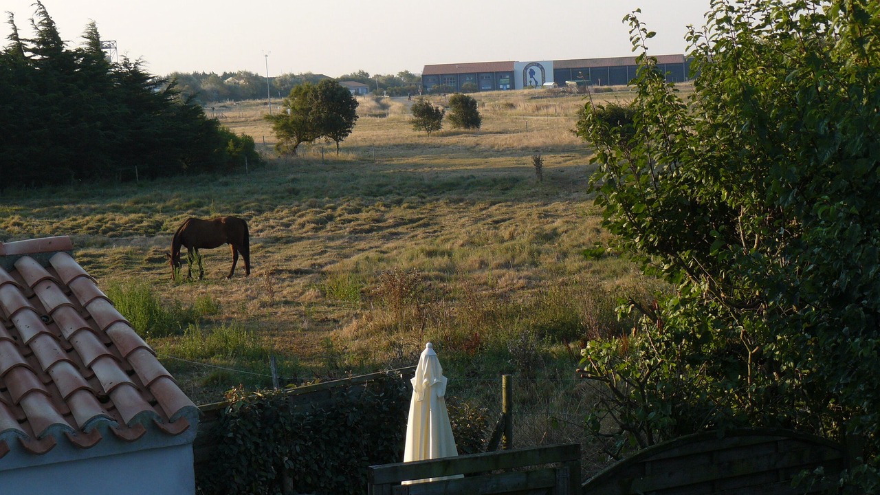 Photo of Outdoor in Noirmoutier-en-l'Ile
