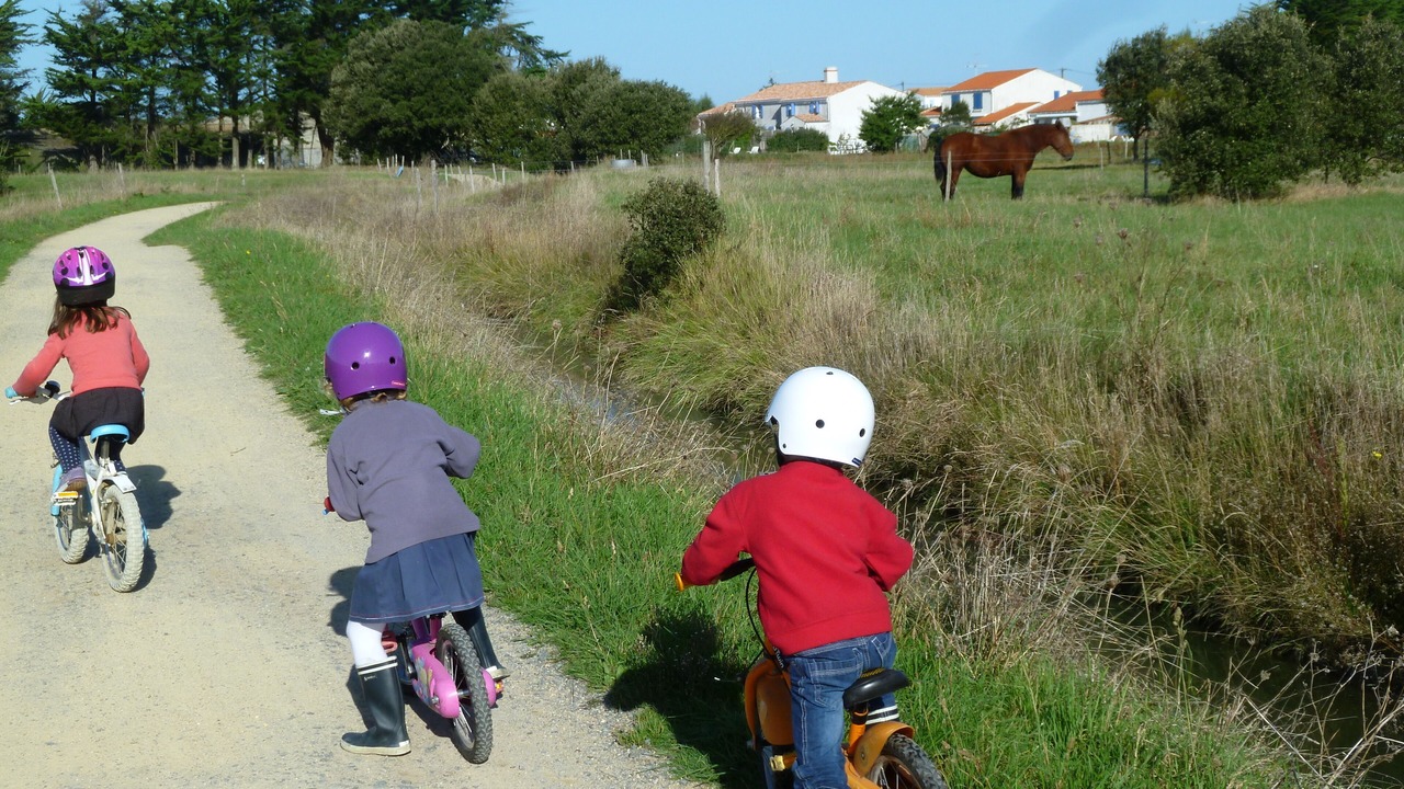 Photo of Others in Noirmoutier-en-l'Ile