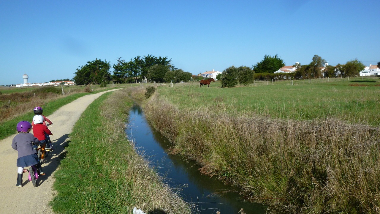 Photo of Others in Noirmoutier-en-l'Ile