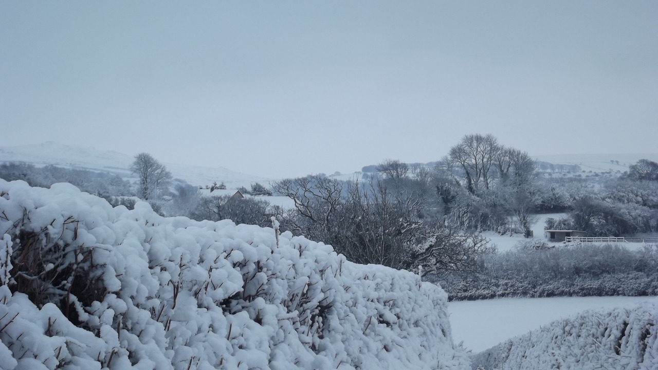 Photo of Others in East Portlemouth