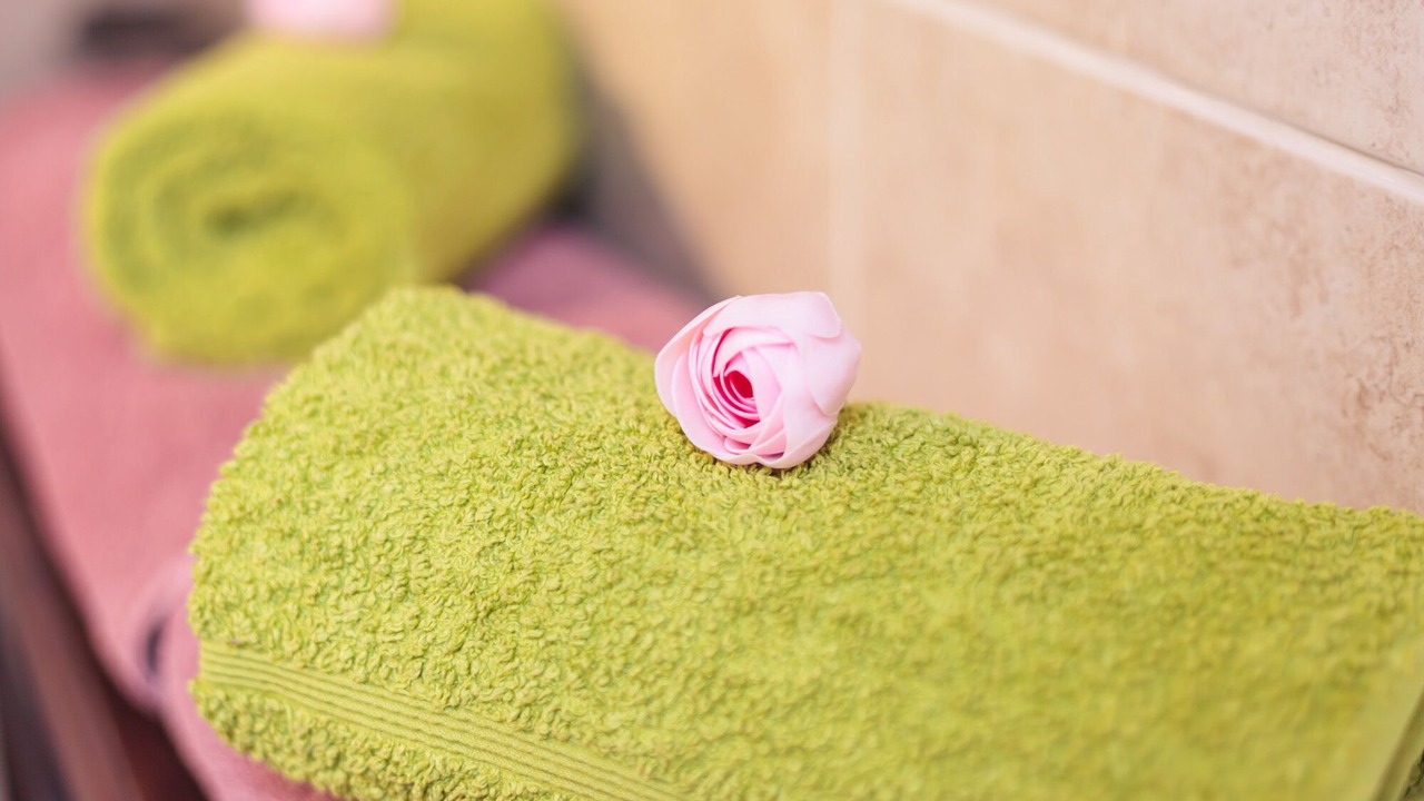 Photo of Others in East Portlemouth