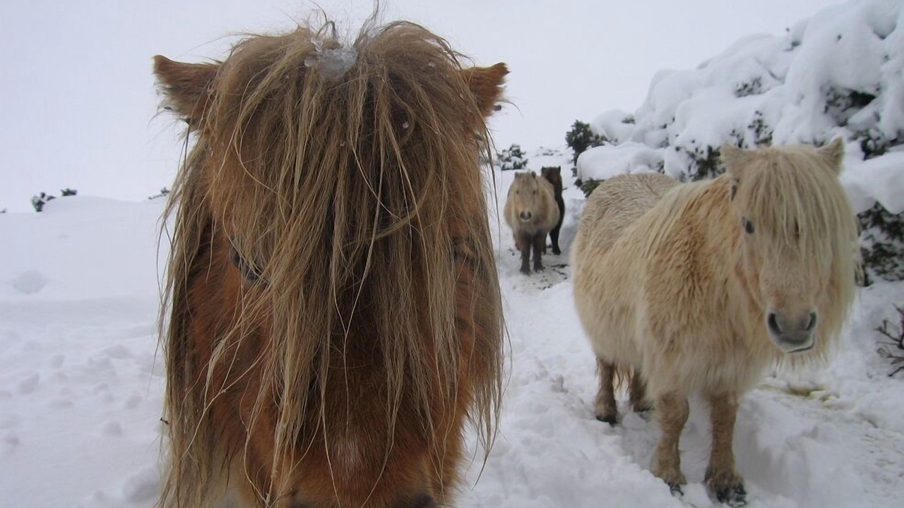 Photo of Others in East Portlemouth