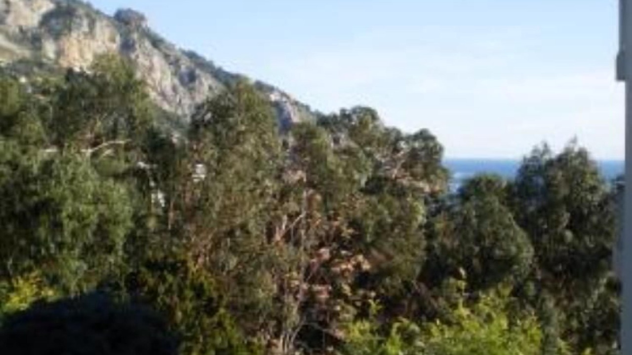 Photo of Others in Menton