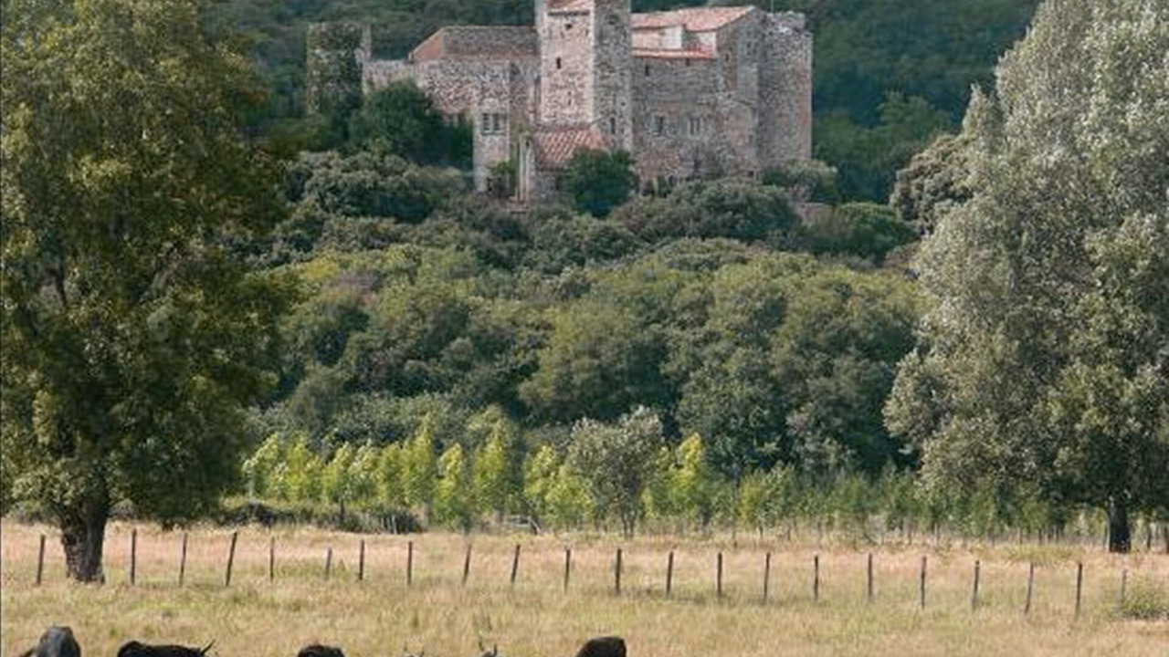 Photo of Others in La Capelle-et-Masmolene