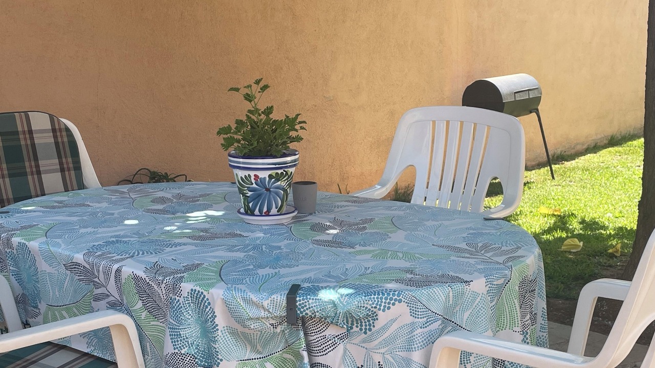 Photo of Outdoor in Benicarlo