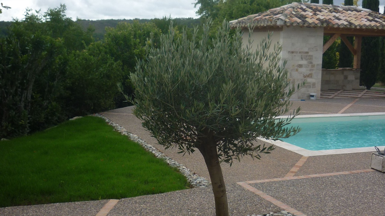 Photo of Outdoor in Bagat-en-Quercy