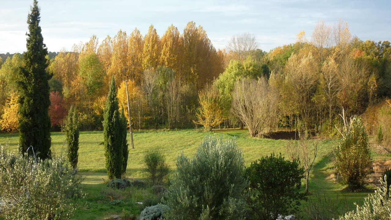 Photo of Outdoor in Bagat-en-Quercy