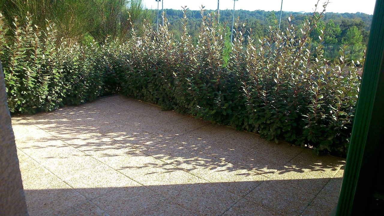 Photo of Outdoor in Moliets-et-Maa