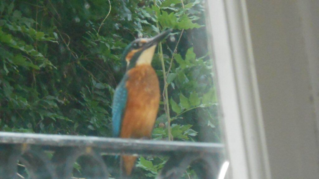 Photo of Others in Bergerac