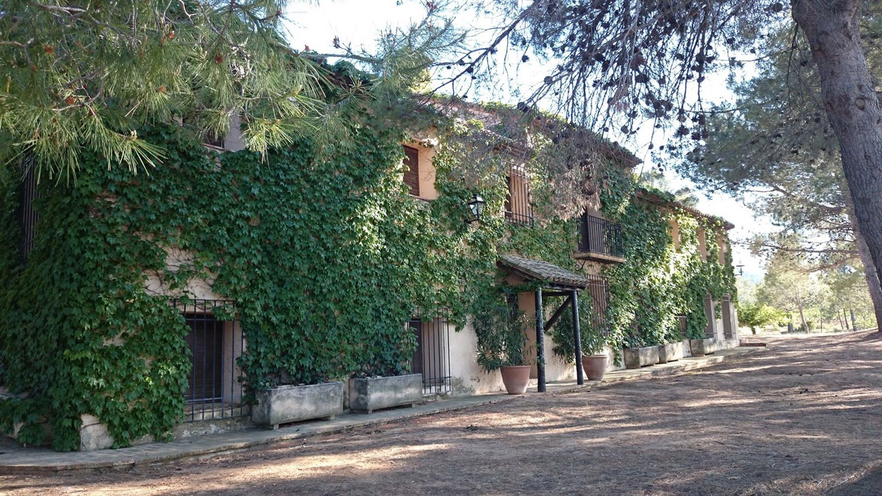 Photo of Outdoor in Fontanars dels Alforins