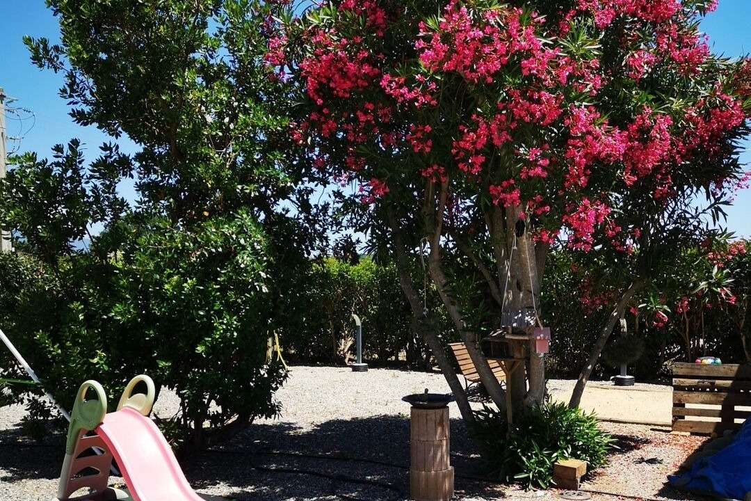 Photo of Outdoor in Aleria