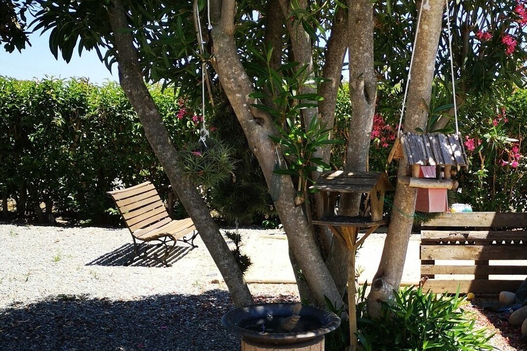 Photo of Outdoor in Aleria