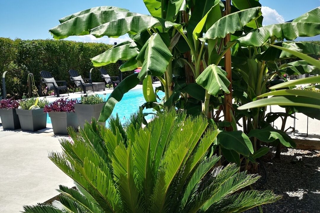 Photo of Outdoor in Aleria