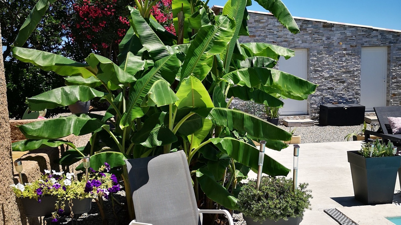 Photo of Patio Balcony in Aleria