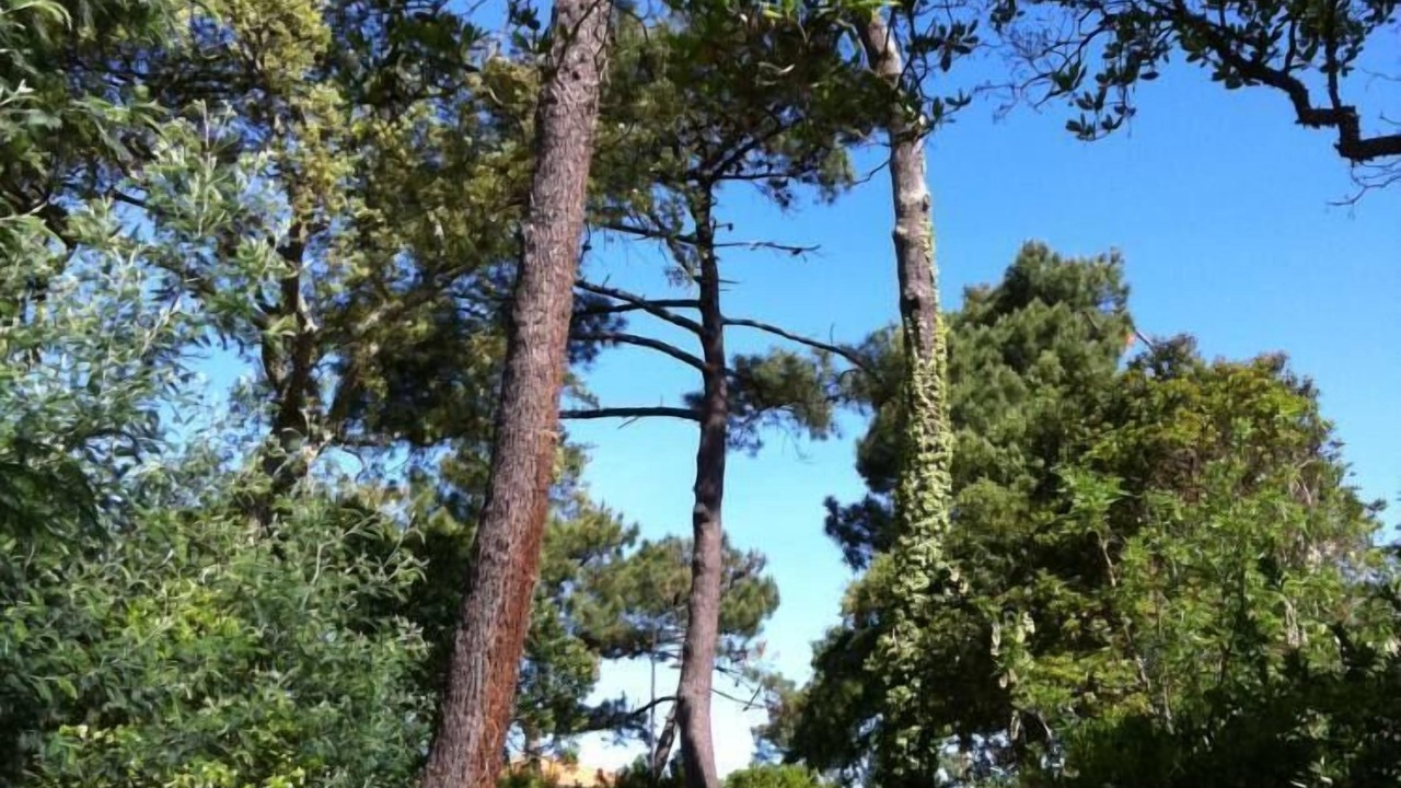 Photo of Outdoor in Soorts-Hossegor