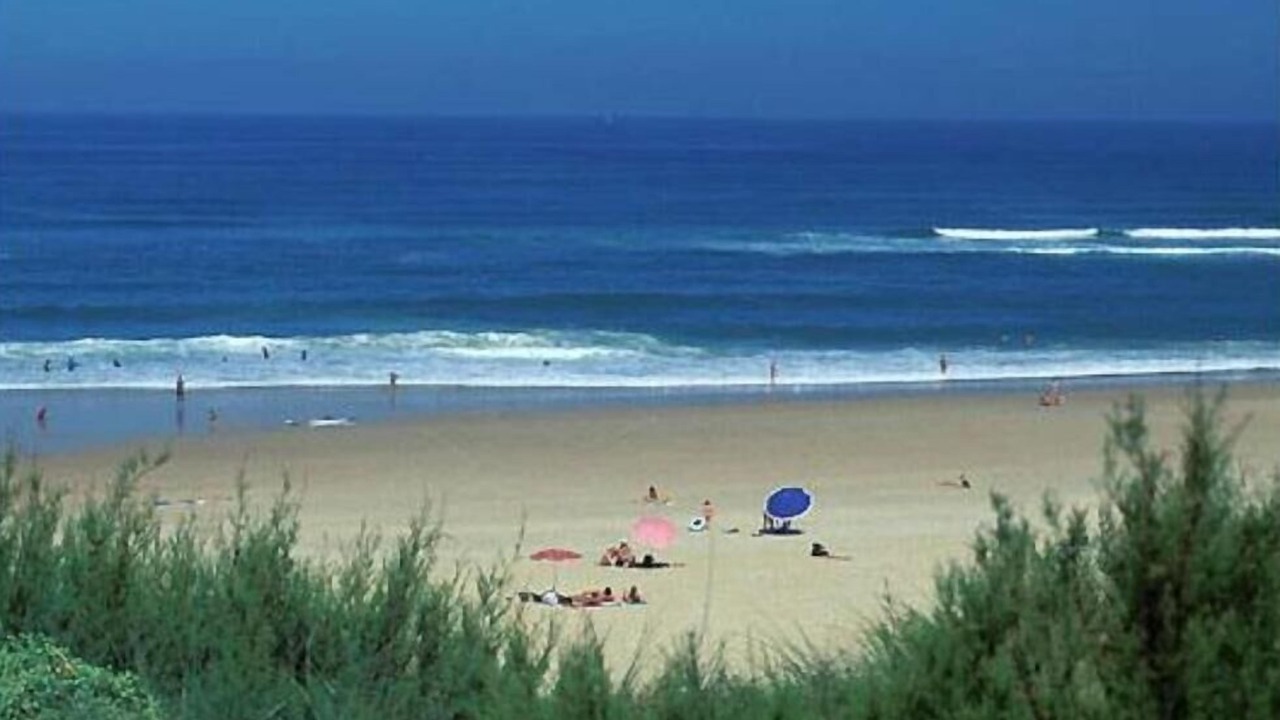 Photo of Others in Soorts-Hossegor