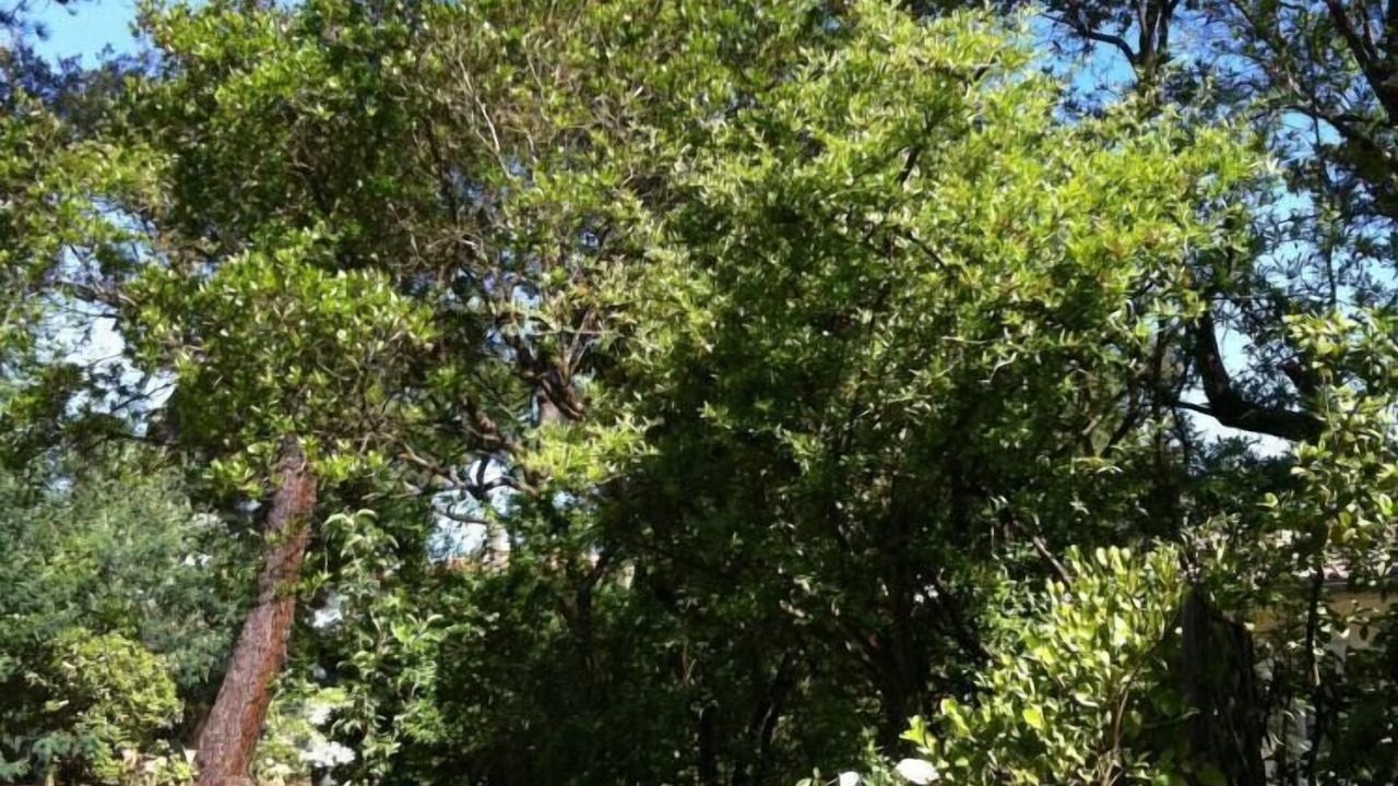Photo of Outdoor in Soorts-Hossegor