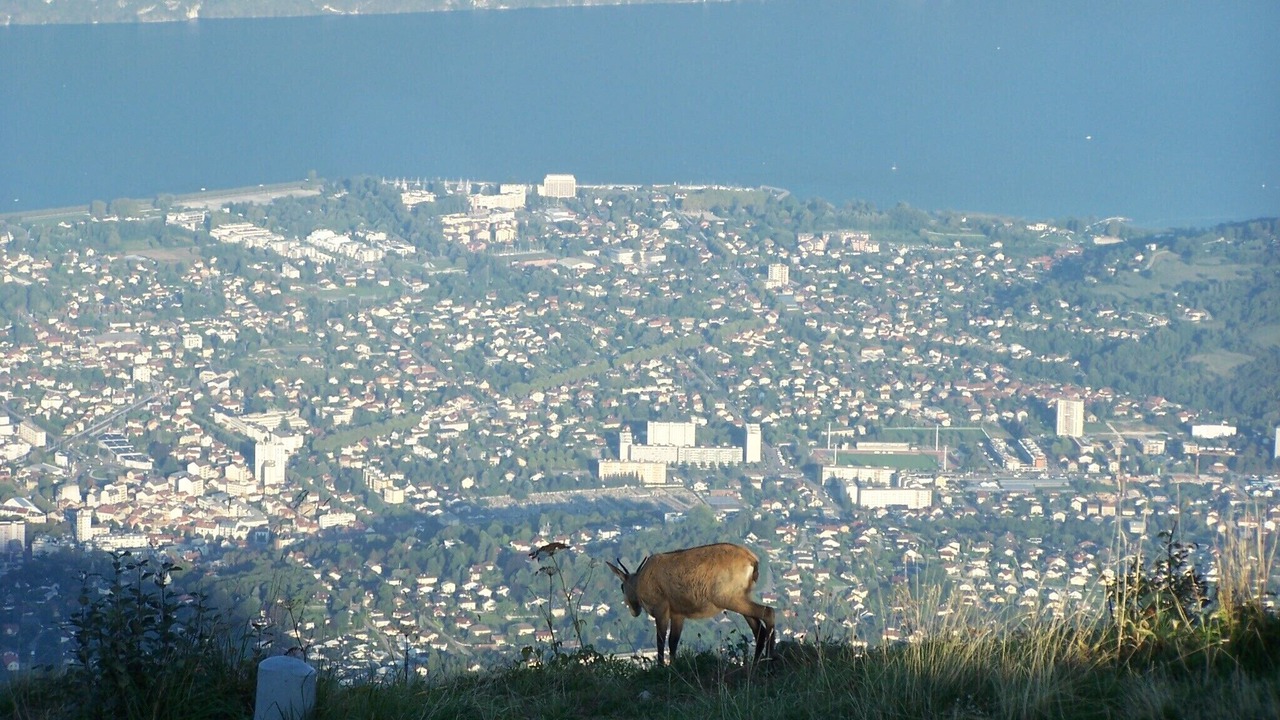 Photo of Others in Montcel