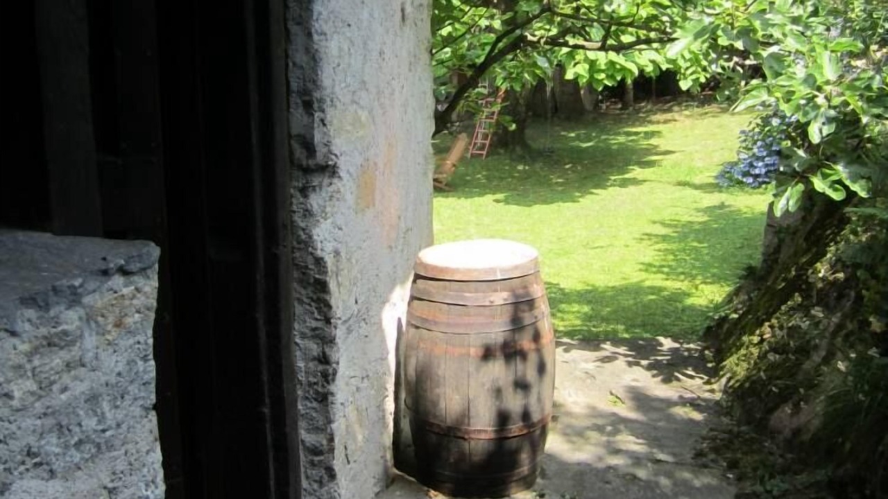 Photo of Outdoor in Ludiano