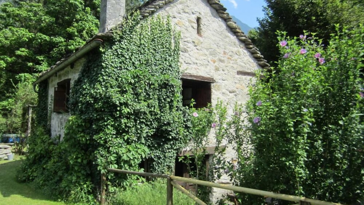 Photo of Outdoor in Ludiano
