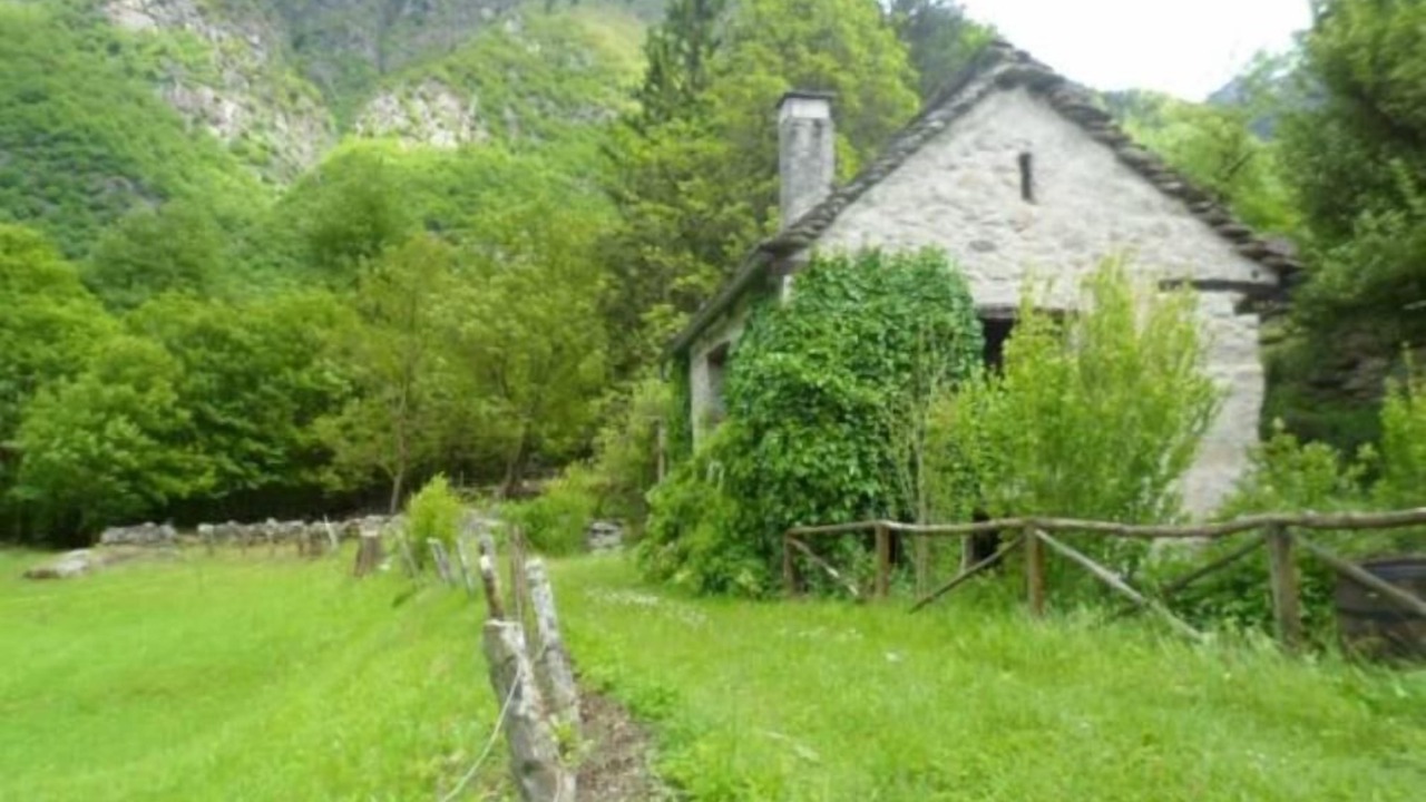 Photo of Outdoor in Ludiano