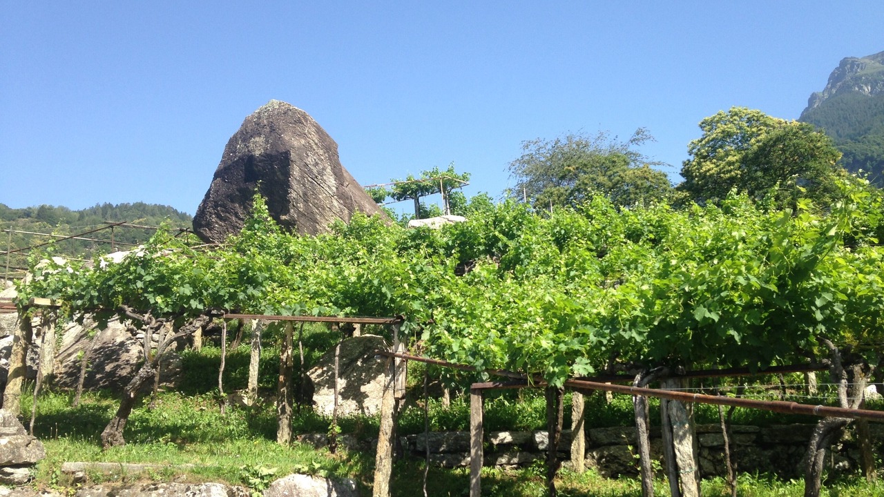 Photo of Outdoor in Ludiano