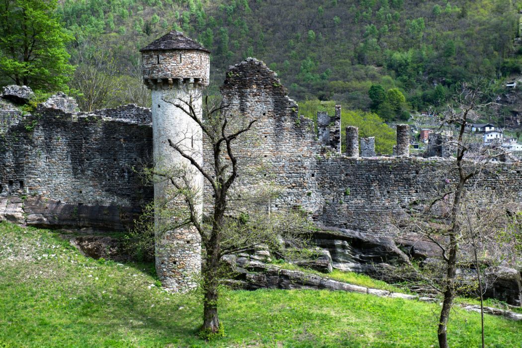 Photo of Others in Ludiano