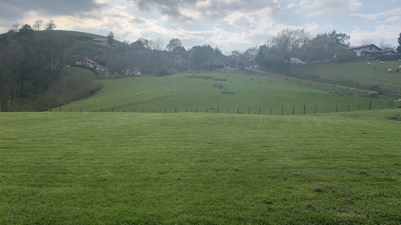 Photo of Others in Espelette
