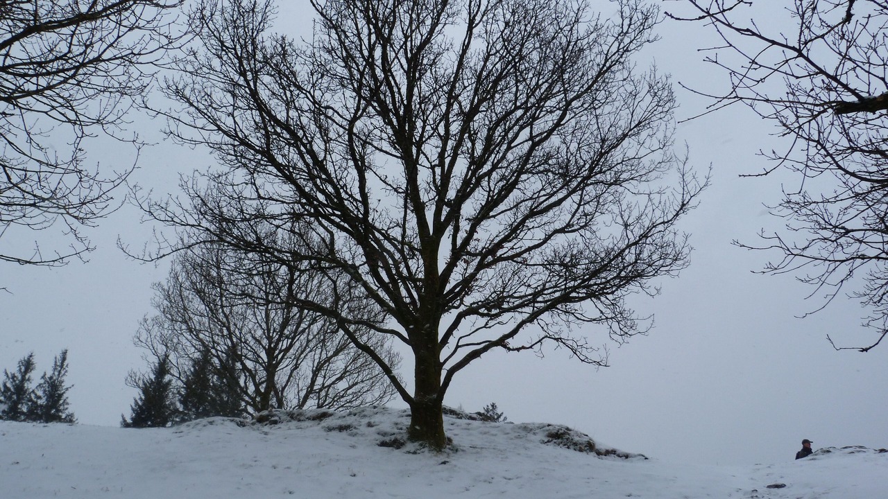 Photo of Others in Bowness-on-Windermere