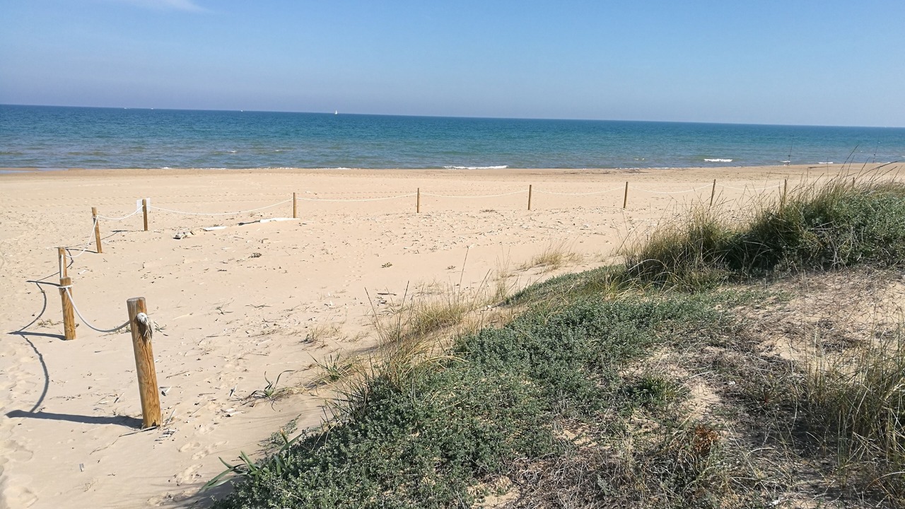 Photo of Others in Platja de Piles