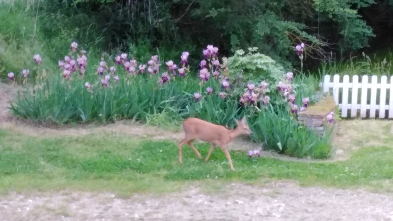 Photo of Outdoor in Saverdun