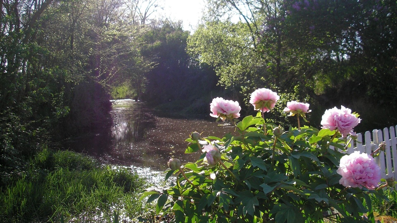 Photo of Outdoor in Saverdun