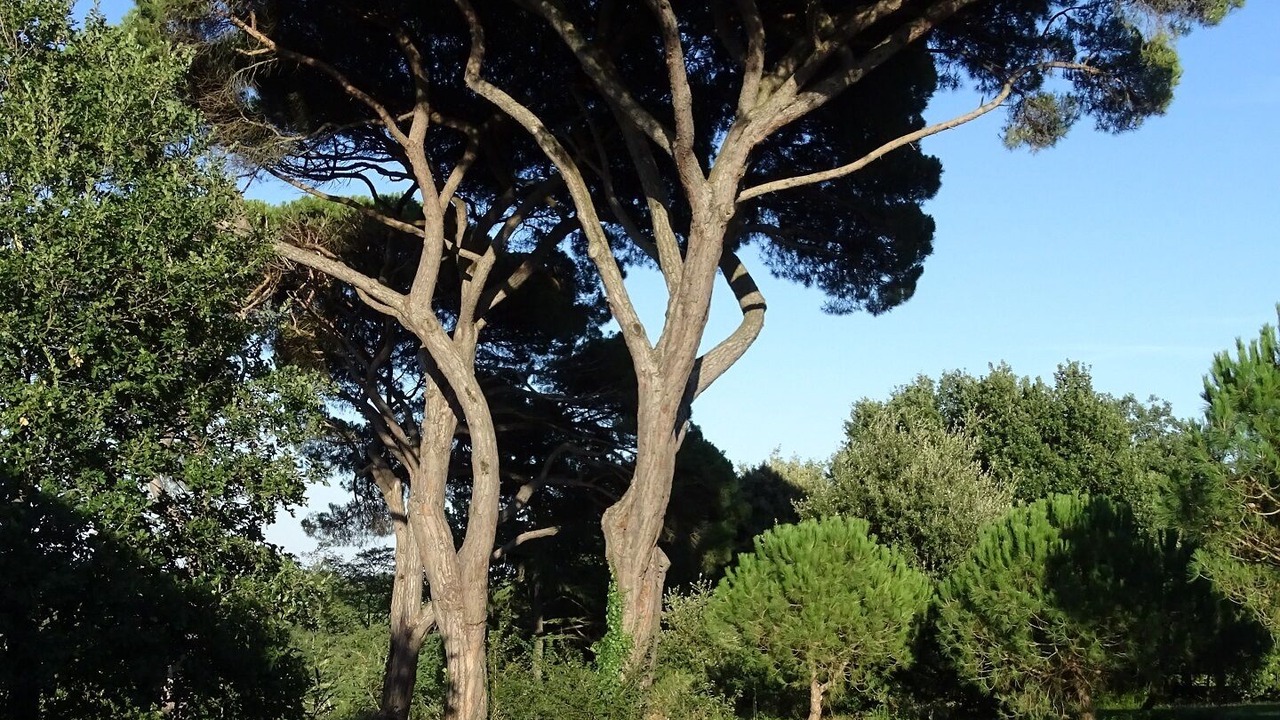 Photo of Outdoor in Saverdun
