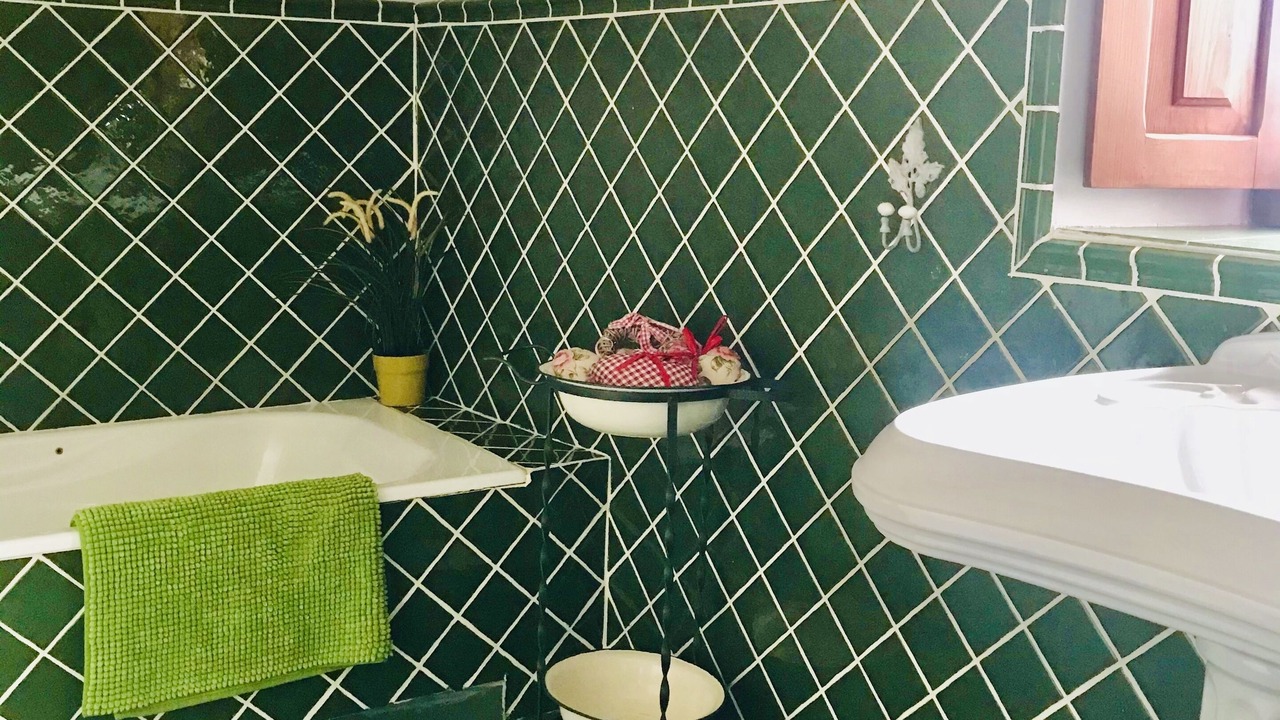 Photo of Bathroom in Gordexola