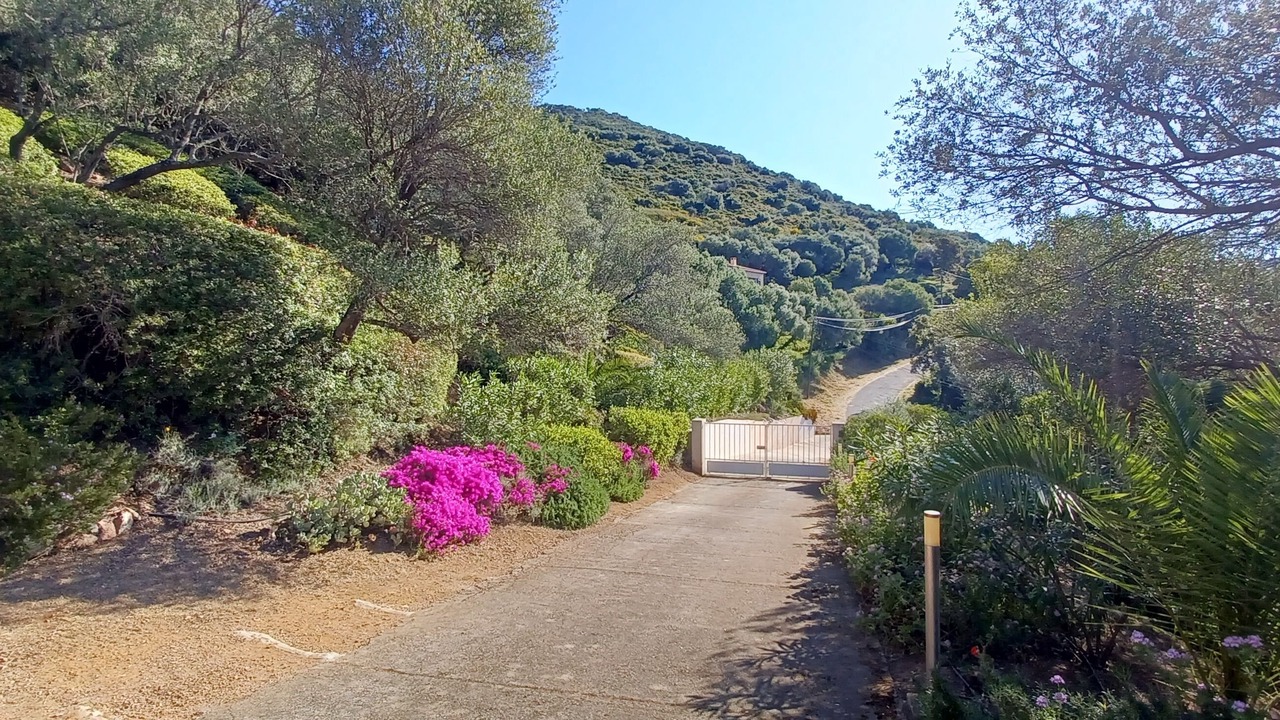 Photo of Others in Cargese