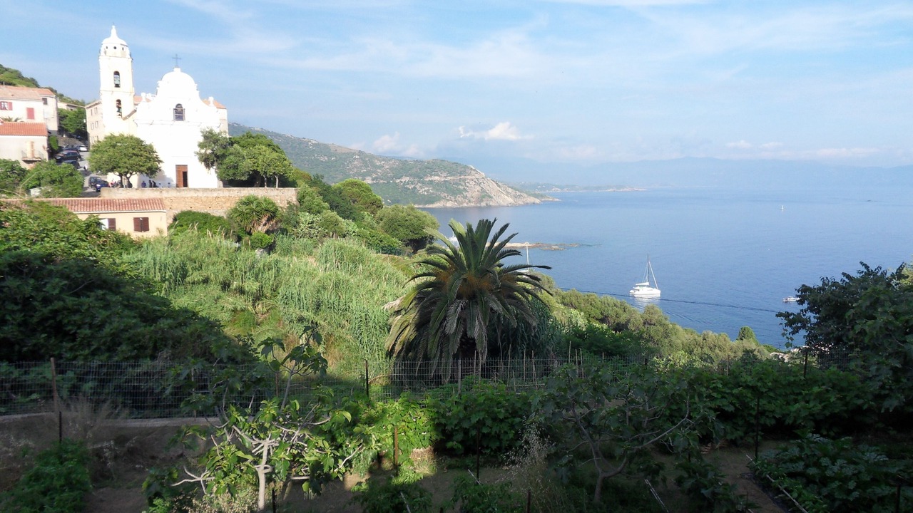 Photo of Others in Cargese