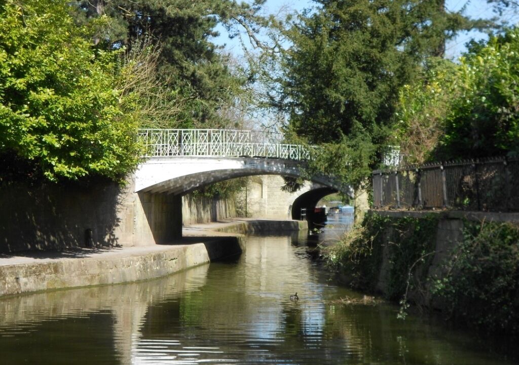 Photo of Others in Bath