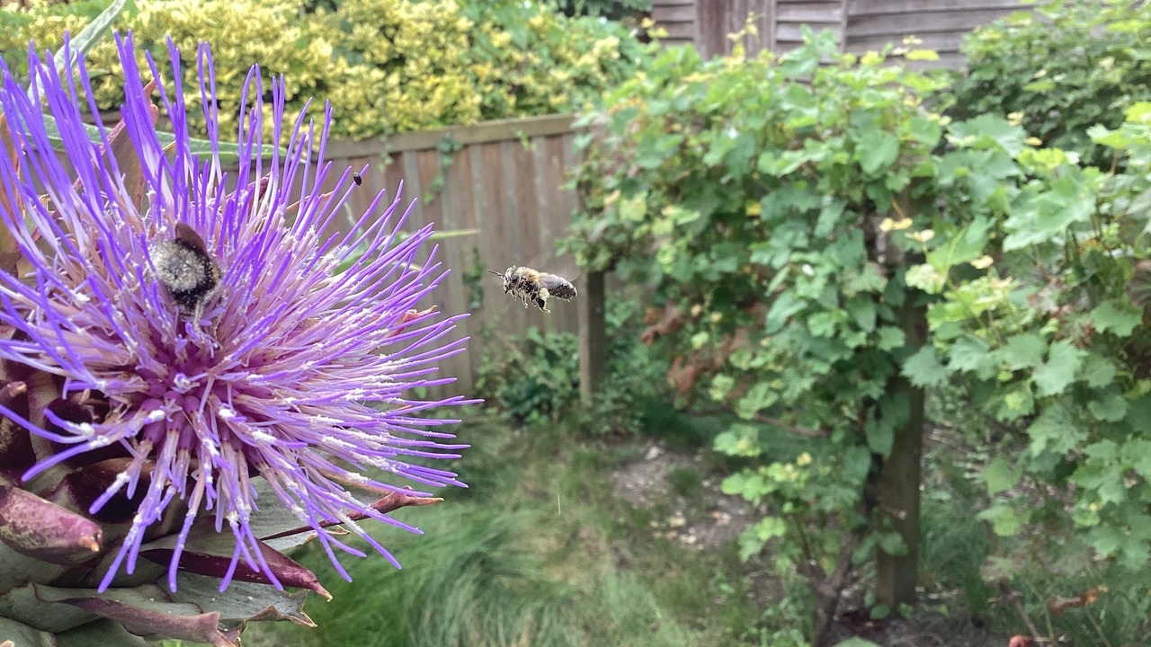 Photo of Others in Bath