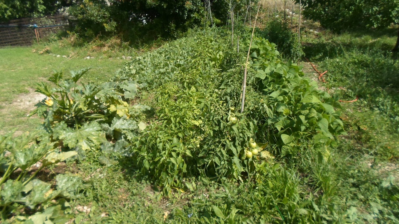 Photo of Outdoor in Mlini
