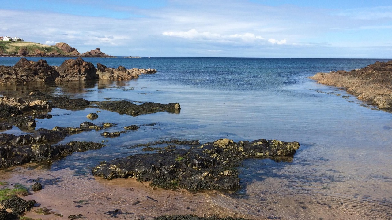Photo of Others in Eyemouth