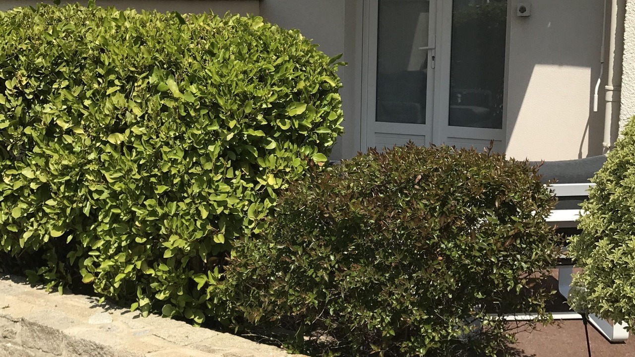 Photo of Outdoor in Saint-Ideuc