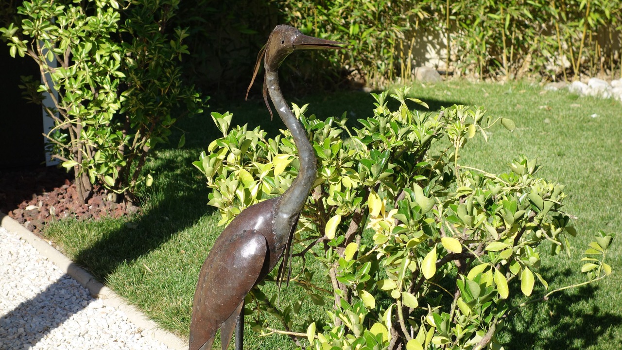 Photo of Outdoor in Le Grau-dʼAgde