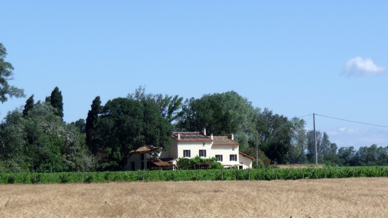 Photo of Others in Coursan