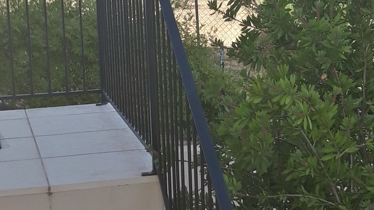 Photo of Others in Neffies