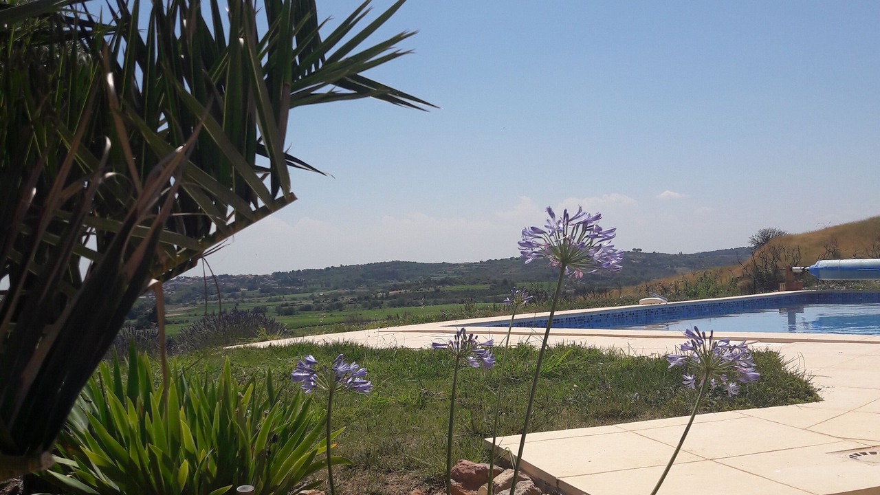 Photo of Outdoor in Neffies