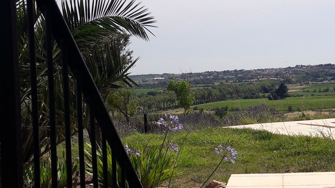 Photo of Others in Neffies