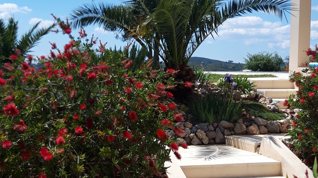 Photo of Outdoor in Neffies