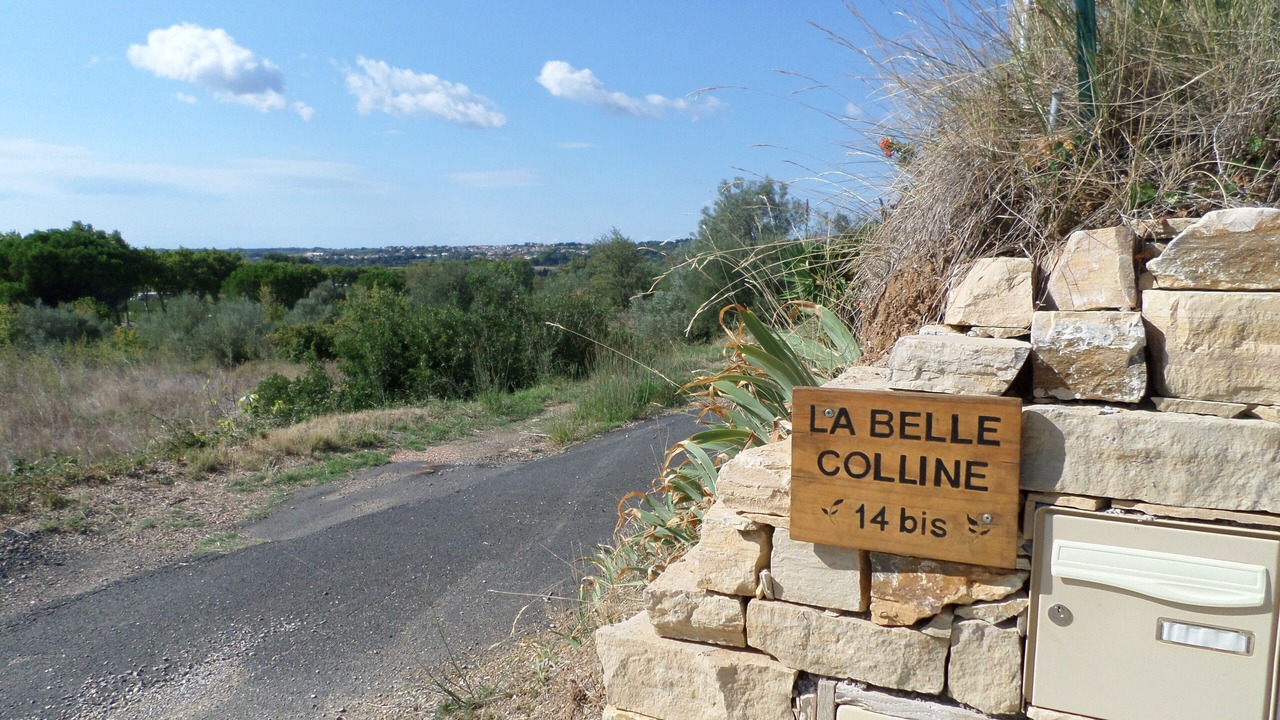 Photo of Others in Neffies