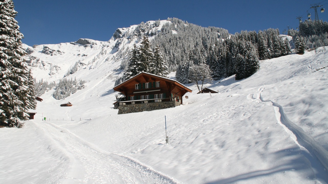Photo of Others in Grindelwald