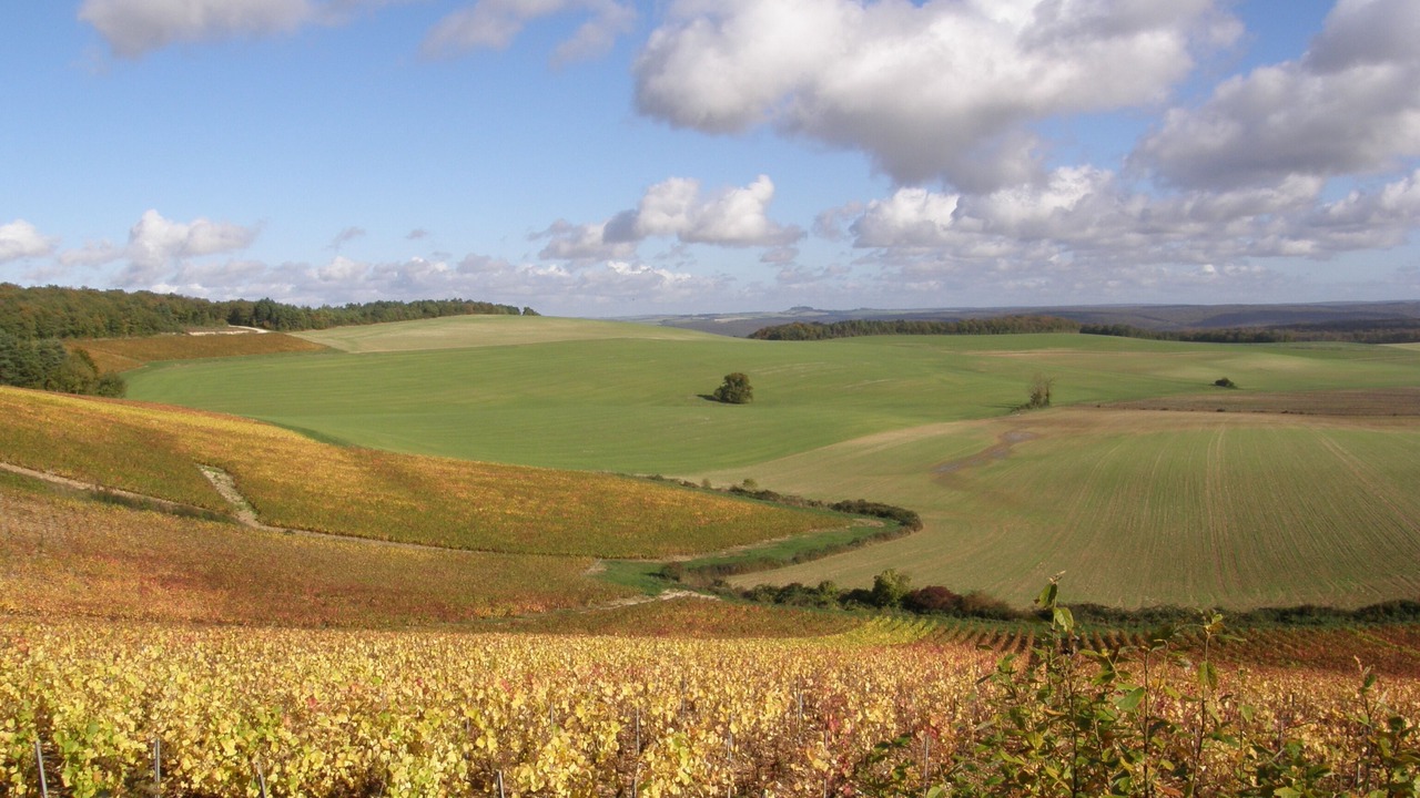 Photo of Others in Cirfontaines-en-Azois